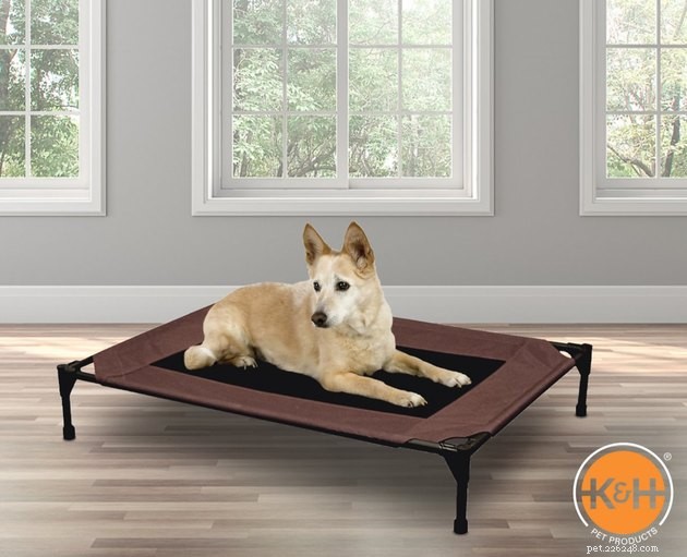 Save Up to 50% on Pet Products During Chewy’s 2022 Blue Box Sale – 14 Expert Tips