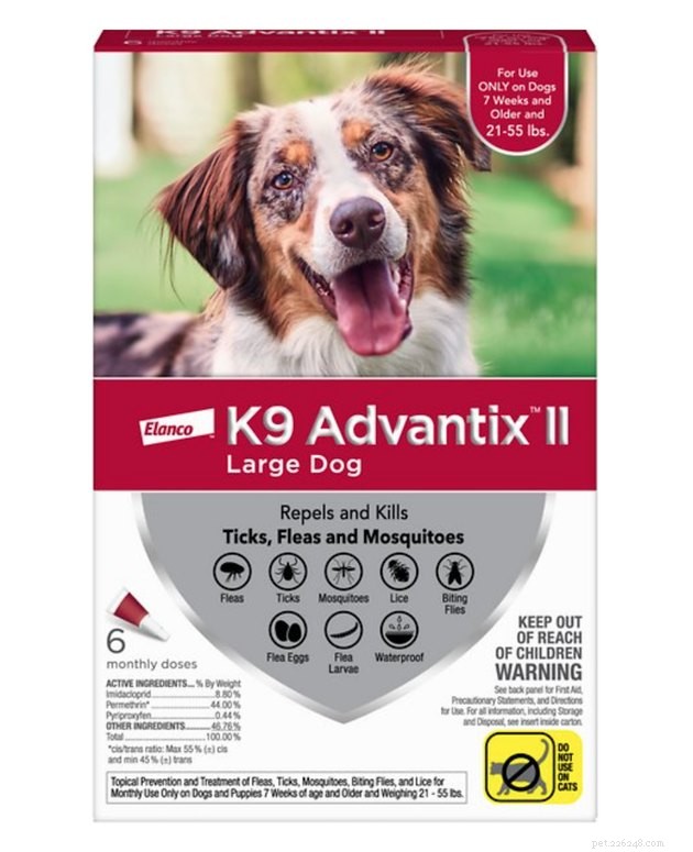 Save Up to 50% on Pet Products During Chewy’s 2022 Blue Box Sale – 14 Expert Tips