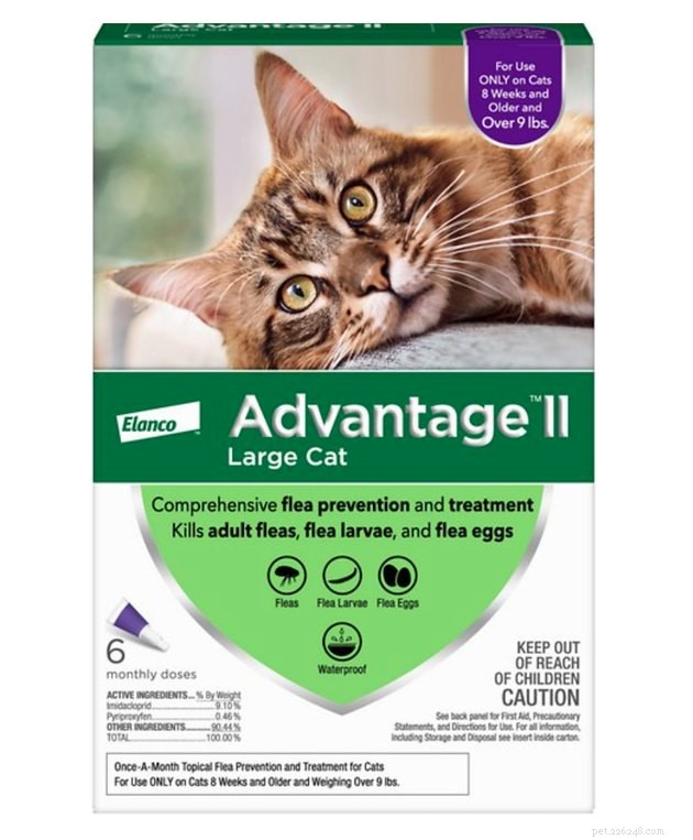 Save Up to 50% on Pet Products During Chewy’s 2022 Blue Box Sale – 14 Expert Tips