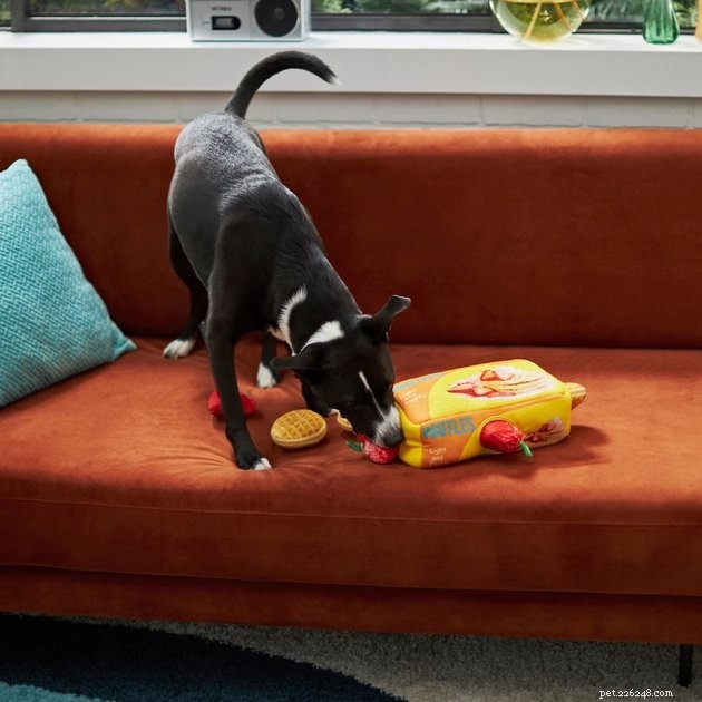 Save Up to 50% on Pet Products During Chewy’s 2022 Blue Box Sale – 14 Expert Tips