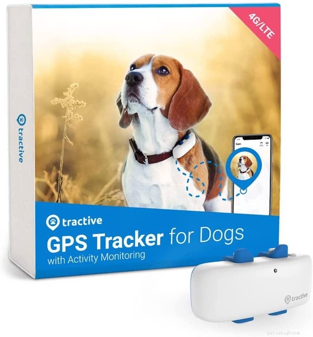 Top Smart Dog Collars of 2022: Best for Safety, Health & Style