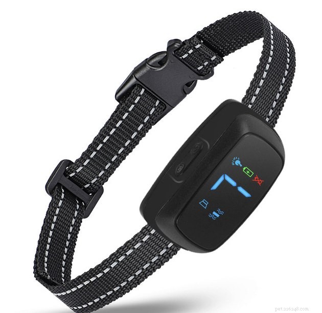 Top Smart Dog Collars of 2022: Best for Safety, Health & Style