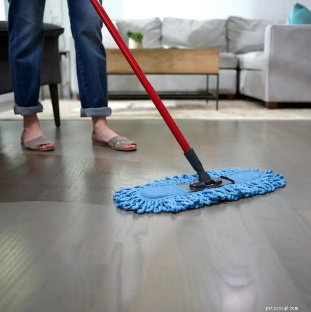 Top Pet Hair Dusters of 2022 – Keep Your Home Clean & Allergy-Free