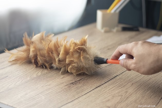 Top Pet Hair Dusters of 2022 – Keep Your Home Clean & Allergy-Free