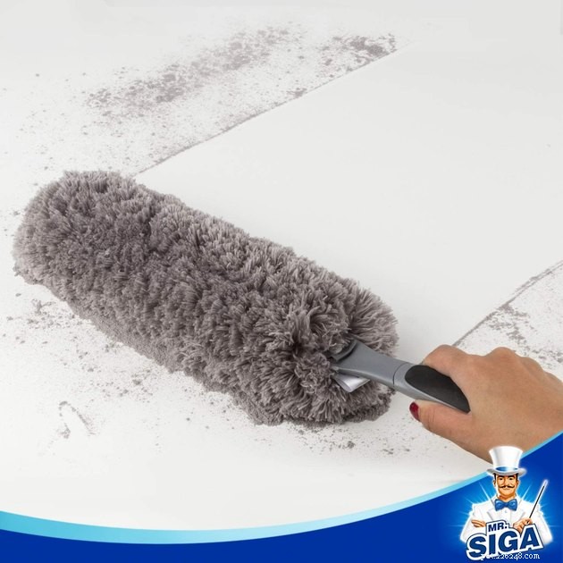 Top Pet Hair Dusters of 2022 – Keep Your Home Clean & Allergy-Free