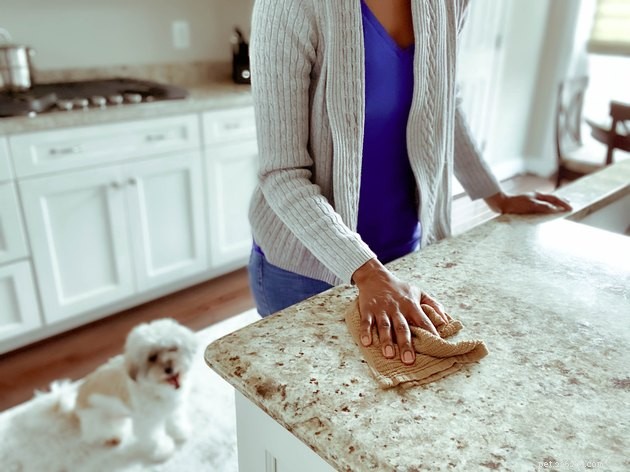 Top Pet‑Safe Household Cleaners of 2022: Safe, Effective, and Eco‑Friendly
