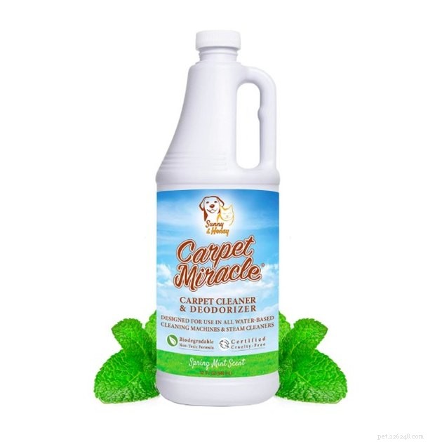 Top Pet‑Safe Household Cleaners of 2022: Safe, Effective, and Eco‑Friendly