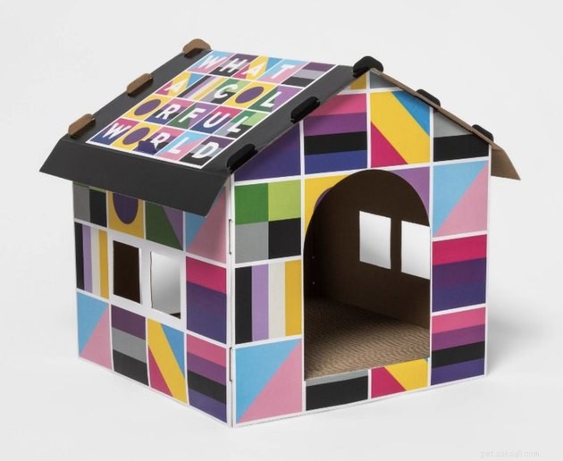 Top Pride Merchandise for Pets – Celebrate 2024 Pride with Stylish, Inclusive Accessories