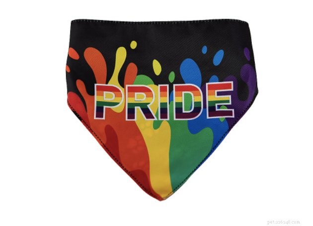 Top Pride Merchandise for Pets – Celebrate 2024 Pride with Stylish, Inclusive Accessories