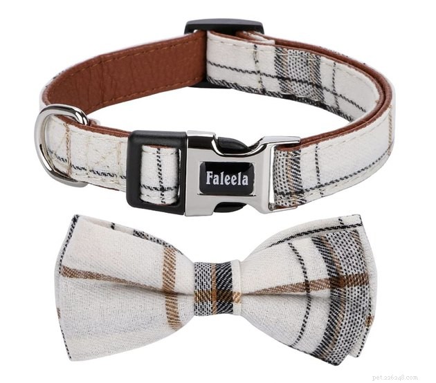 Top Dog Wedding Attire: Chic & Comfortable Outfits for Your Big Day