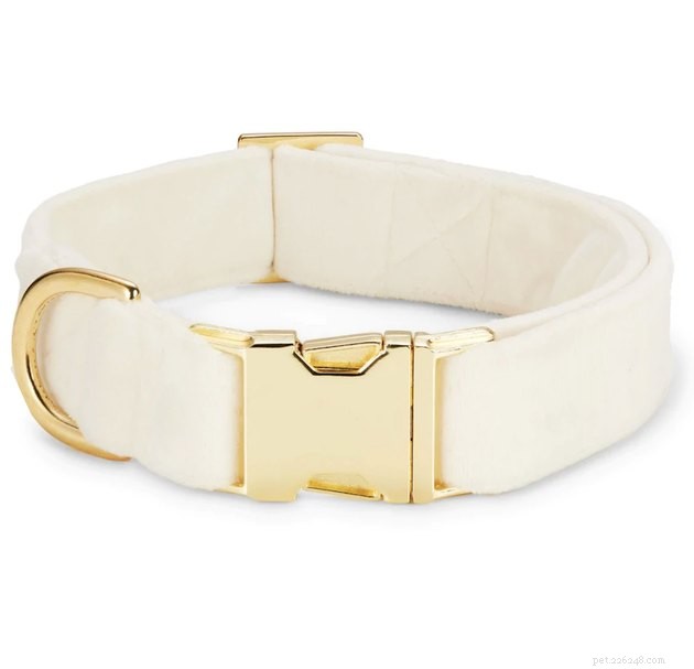 Top Dog Wedding Attire: Chic & Comfortable Outfits for Your Big Day