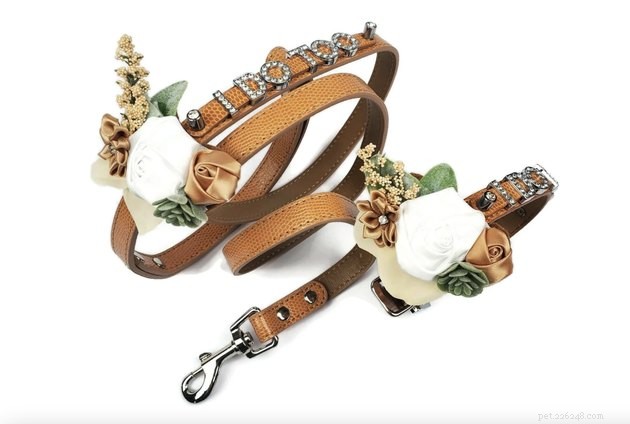 Top Dog Wedding Attire: Chic & Comfortable Outfits for Your Big Day