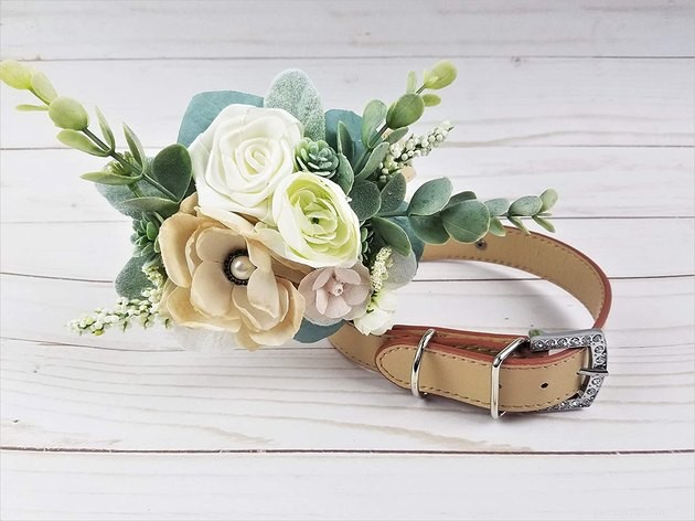 Top Dog Wedding Attire: Chic & Comfortable Outfits for Your Big Day