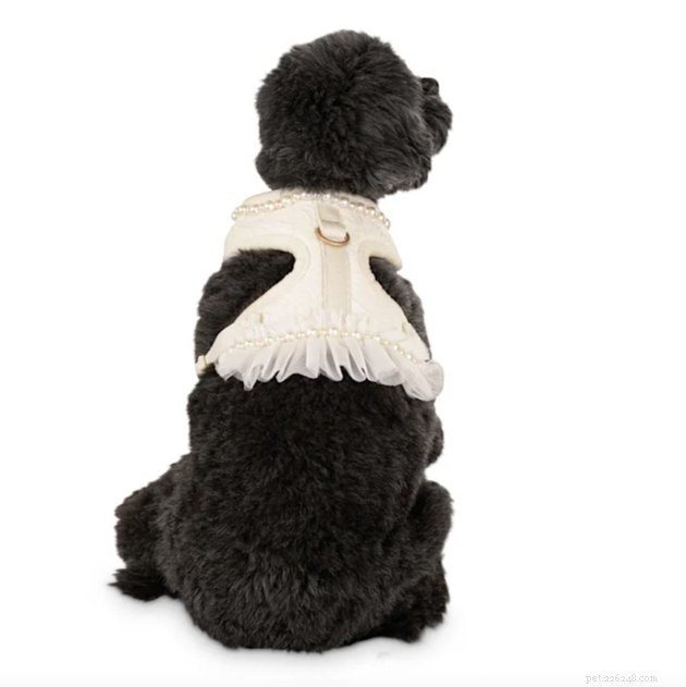 Top Dog Wedding Attire: Chic & Comfortable Outfits for Your Big Day