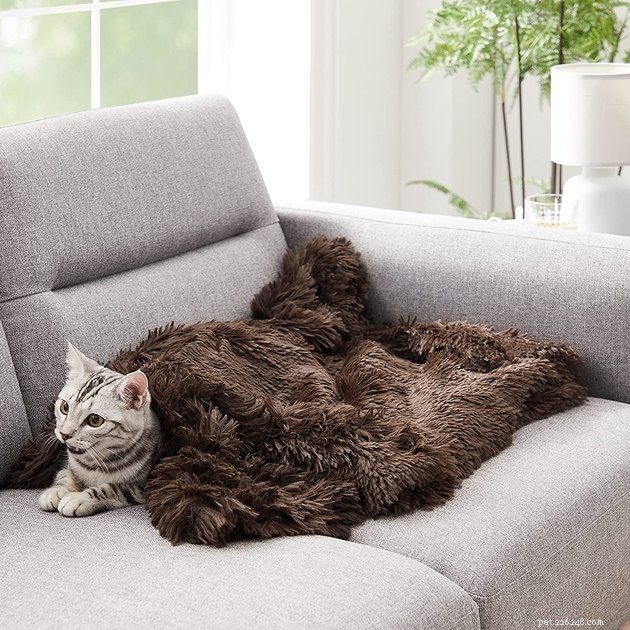 Top-Rated Pet Blankets of 2022: Comfort, Durability & Style