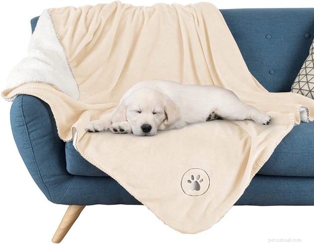Top-Rated Pet Blankets of 2022: Comfort, Durability & Style