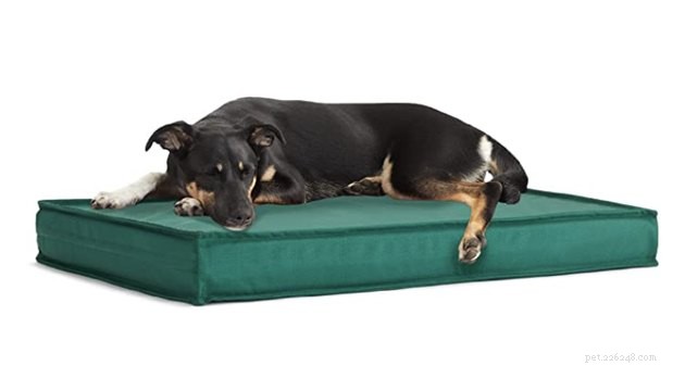 Top 2022 Outdoor Dog Beds: Comfort & Durability for Your Furry Friend