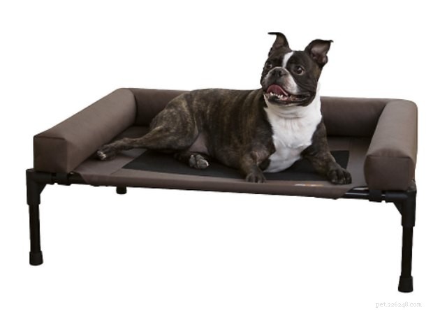 Top 2022 Outdoor Dog Beds: Comfort & Durability for Your Furry Friend