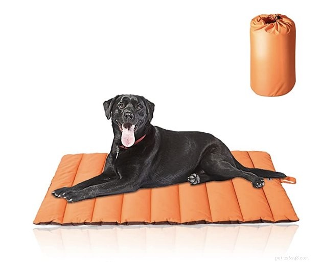 Top 2022 Outdoor Dog Beds: Comfort & Durability for Your Furry Friend