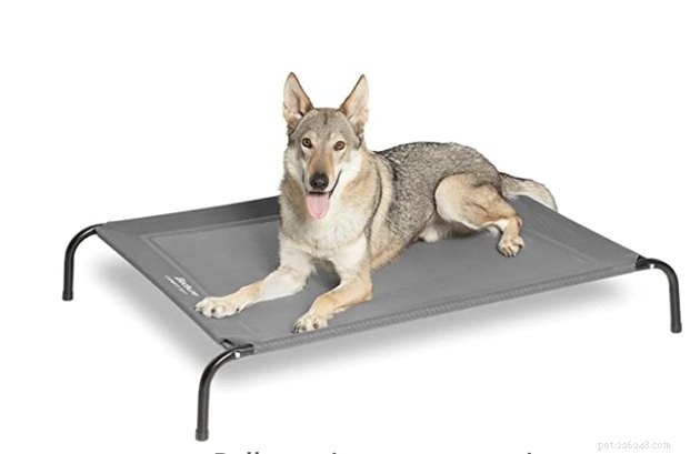 Top 2022 Outdoor Dog Beds: Comfort & Durability for Your Furry Friend