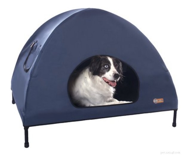 Top 2022 Outdoor Dog Beds: Comfort & Durability for Your Furry Friend