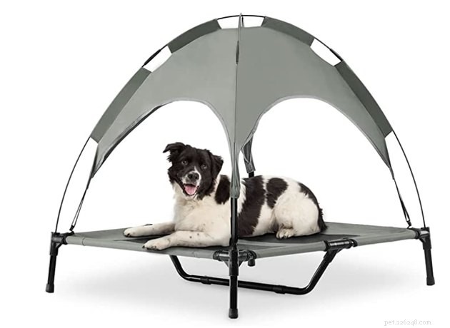Top 2022 Outdoor Dog Beds: Comfort & Durability for Your Furry Friend