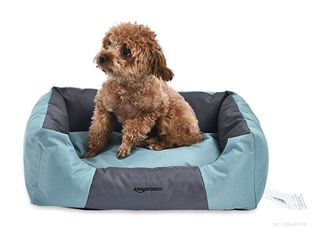 Top 2022 Outdoor Dog Beds: Comfort & Durability for Your Furry Friend