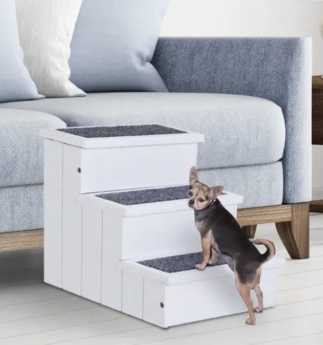 Top Pet Stairs of 2022: Expert Picks for Cats & Dogs