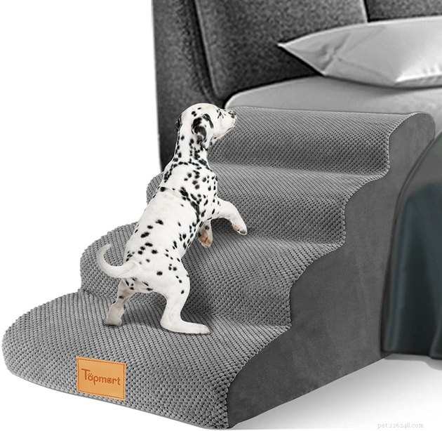 Top Pet Stairs of 2022: Expert Picks for Cats & Dogs