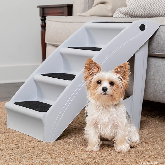 Top Pet Stairs of 2022: Expert Picks for Cats & Dogs
