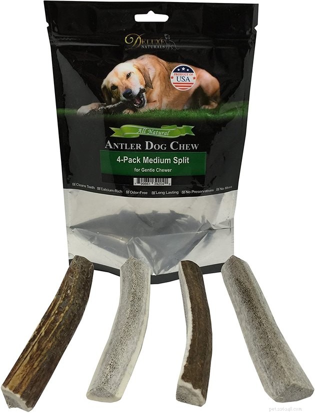Top 2022 Dog Chews: Safe, Durable, and Delicious Picks