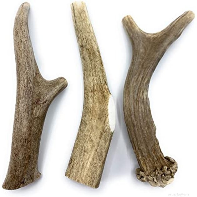 Top 2022 Dog Chews: Safe, Durable, and Delicious Picks