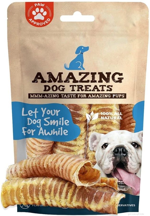 Top 2022 Dog Chews: Safe, Durable, and Delicious Picks