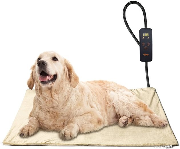Top Heated Dog Beds of 2022: Comfort & Warmth for Your Pet
