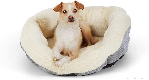 Top Heated Dog Beds of 2022: Comfort & Warmth for Your Pet