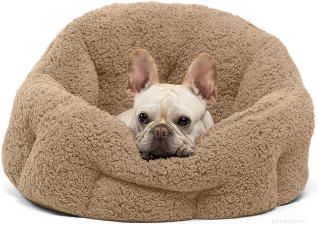Top Heated Dog Beds of 2022: Comfort & Warmth for Your Pet