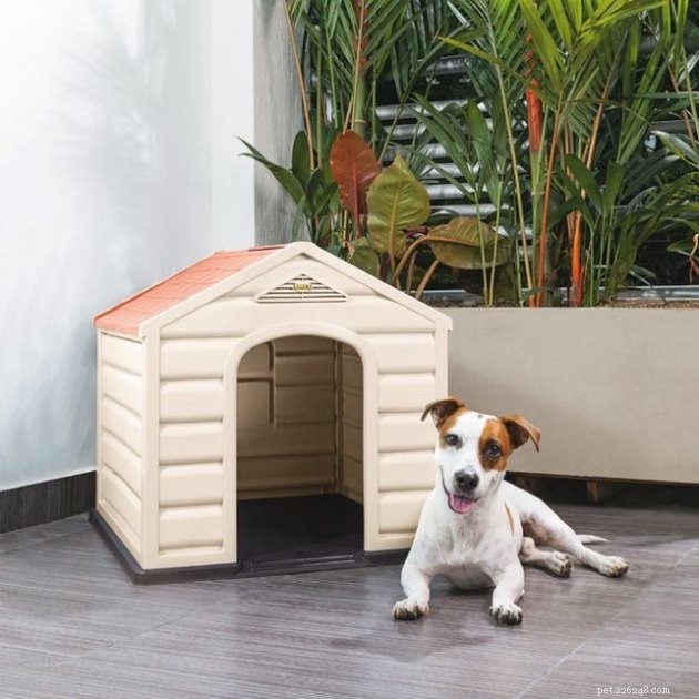 Top Dog Houses of 2022: Comfort, Durability, and Style