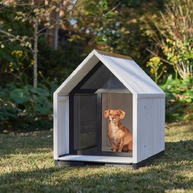 Top Dog Houses of 2022: Comfort, Durability, and Style
