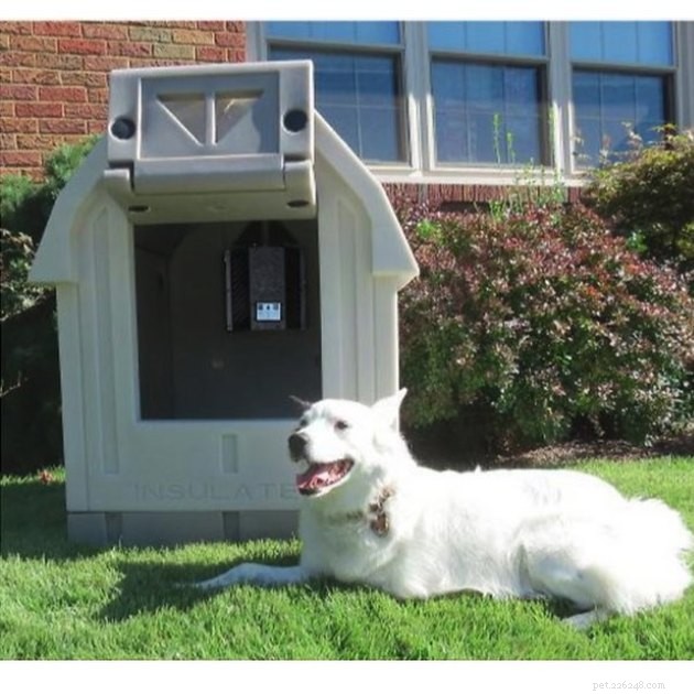 Top Dog Houses of 2022: Comfort, Durability, and Style