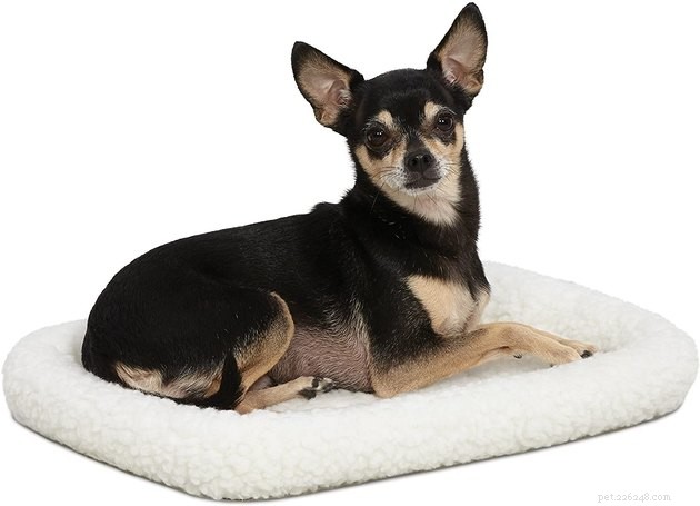 Top Dog Crate Beds of 2022 – Comfort, Safety, and Style