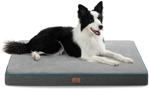 Top Dog Crate Beds of 2022 – Comfort, Safety, and Style