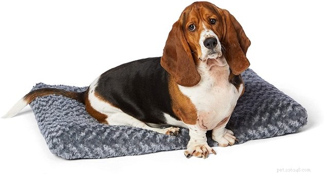Top Dog Crate Beds of 2022 – Comfort, Safety, and Style