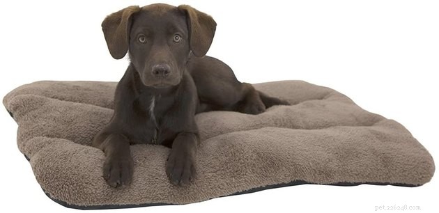 Top Dog Crate Beds of 2022 – Comfort, Safety, and Style