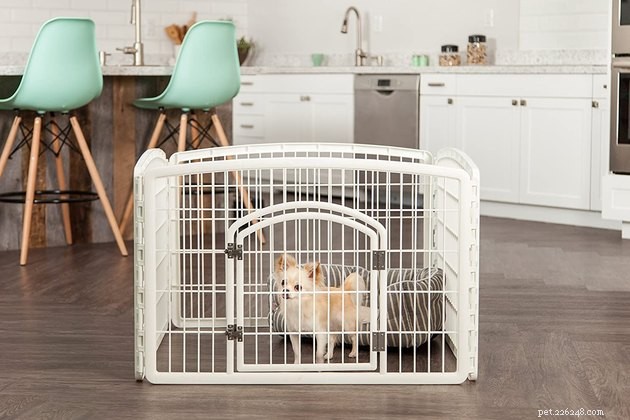 Top 2022 Dog Playpens: Secure, Spacious, and Perfect for Pups and Adults