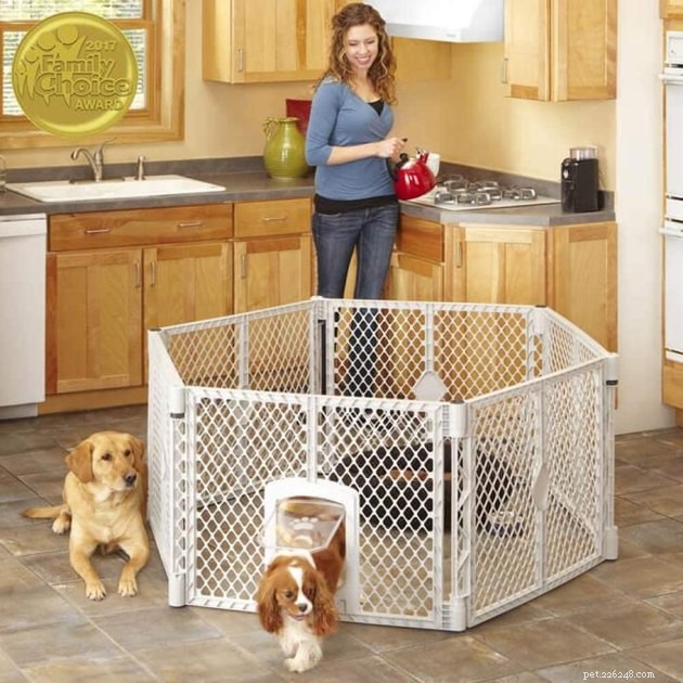 Top 2022 Dog Playpens: Secure, Spacious, and Perfect for Pups and Adults