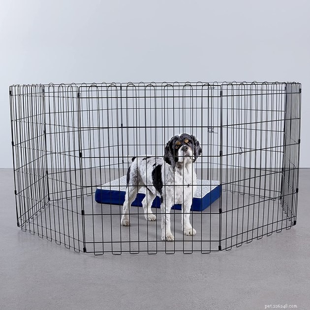 Top 2022 Dog Playpens: Secure, Spacious, and Perfect for Pups and Adults