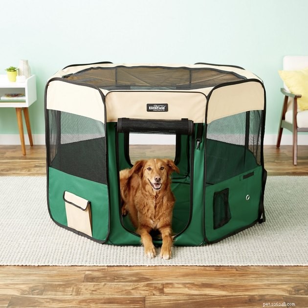 Top 2022 Dog Playpens: Secure, Spacious, and Perfect for Pups and Adults