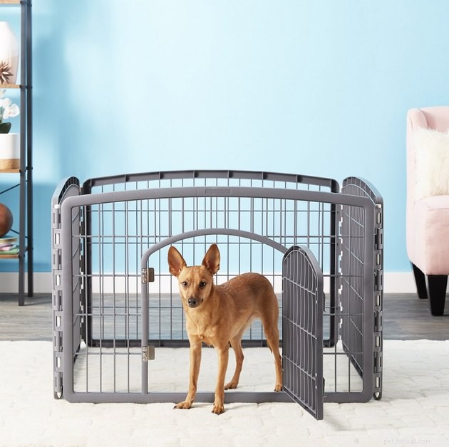 Top 2022 Dog Playpens: Secure, Spacious, and Perfect for Pups and Adults