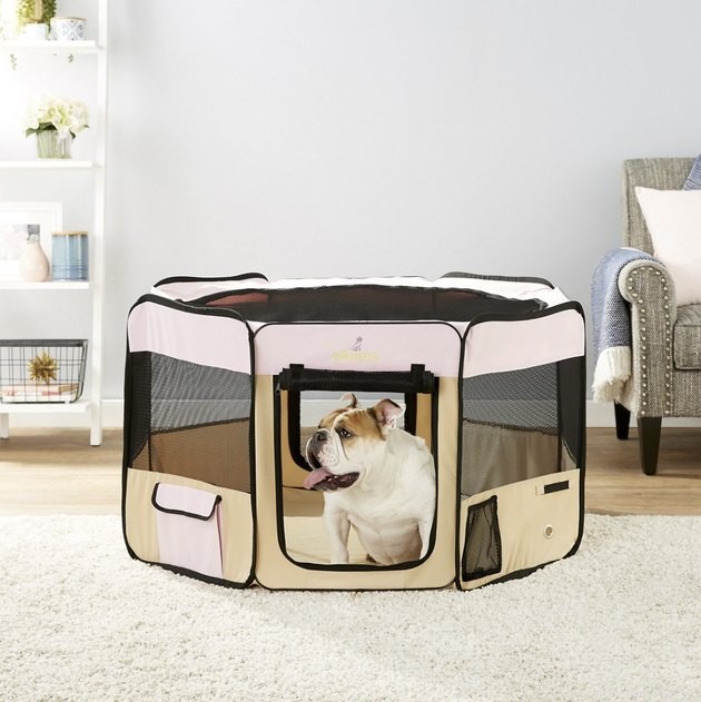 Top 2022 Dog Playpens: Secure, Spacious, and Perfect for Pups and Adults