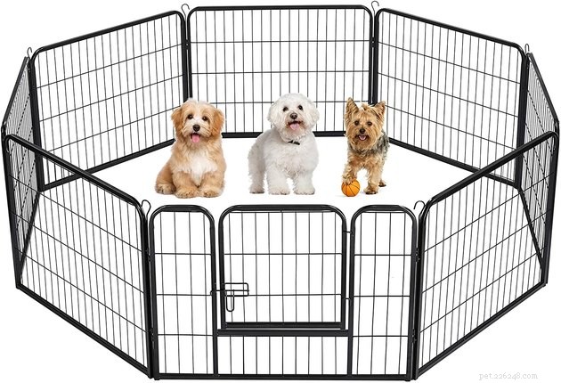 Top 2022 Dog Playpens: Secure, Spacious, and Perfect for Pups and Adults
